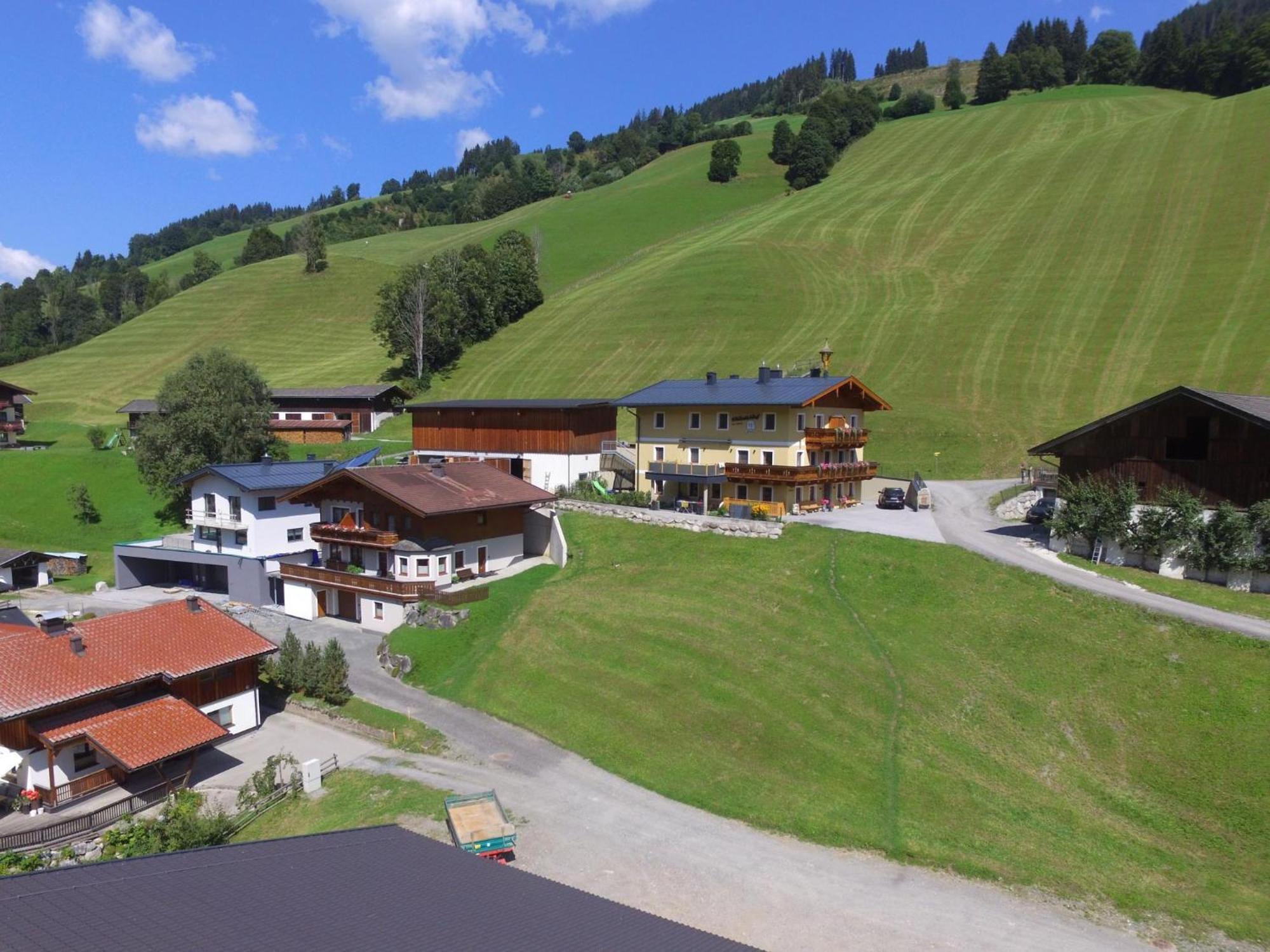 Апартаменты Bichl Viehofen Зальбах-Хинтерглемм Экстерьер фото